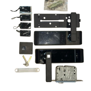 F10 Intelligent Smart Door Lock